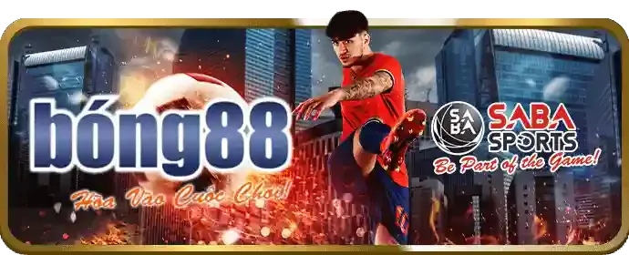 Cá cược Bóng Rổ DU88